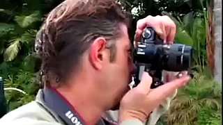 Ava dev: Blowjob, Cowgirl & Missonary Porn