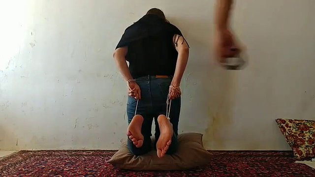 Persian falaka