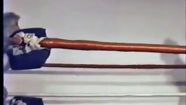 old catfight