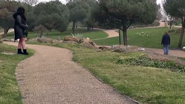 Chubby wife of british glad flashing in the park