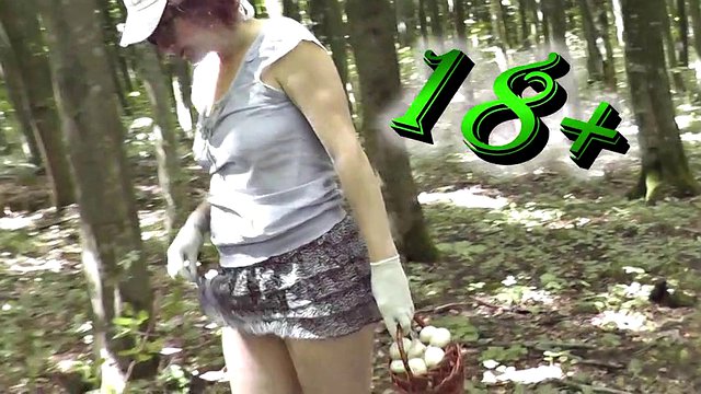 Sexy Milf without panties under skirt picks mushrooms in forest. Outdoor. Outside. No panties. In public. Outdoors. Ass. Pussy