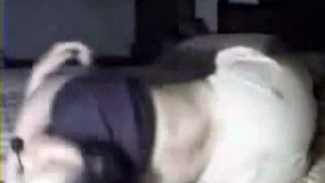 dirty pakistani wife