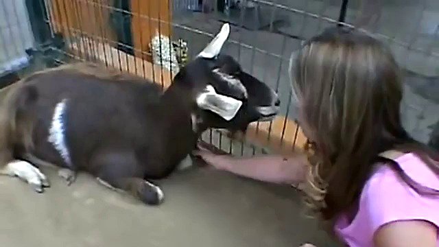 Teen does some heavy solo petting