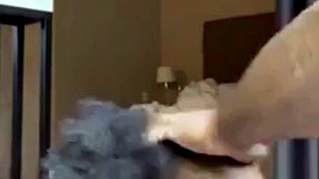 Ebony BBW wife with sloppy deepthroat and BBC I found her on meetxx.com