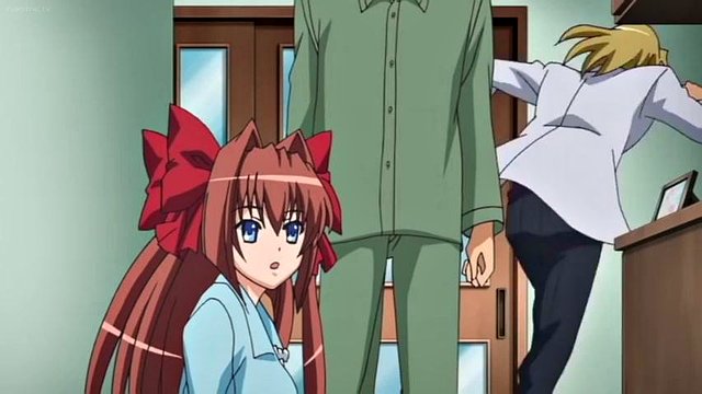 Anime blues canna