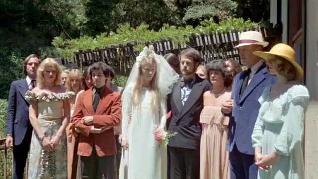 Wedding Party: Vintage, Orgy & Groupsex Porn