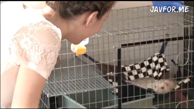 Takizawa: Blowjob, Doggy & Cowgirl Porn