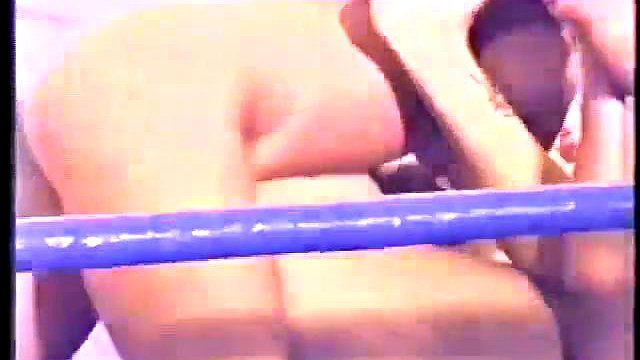 name the catfight video companie