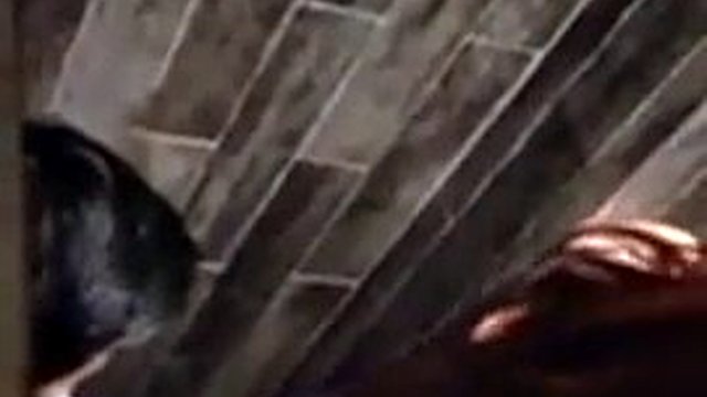 ktv homemade video bathroom sex
