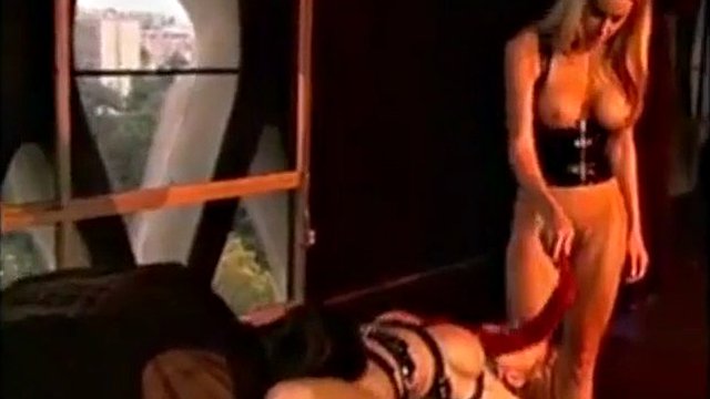 amber michaels is a perfect ponygirl