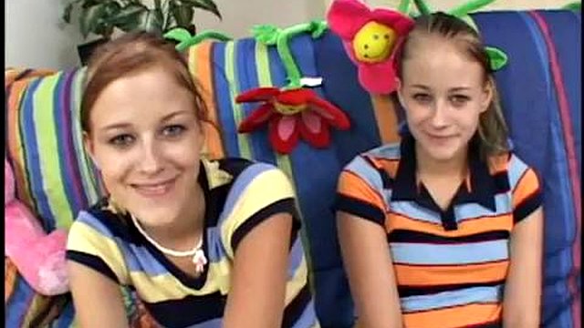 Ausgebeutete Babysitter - Zwillinge