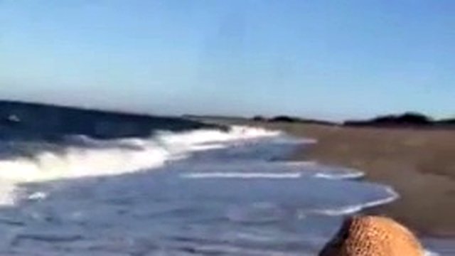 TiffanyBellsTS naked on the beach at Herring Cove