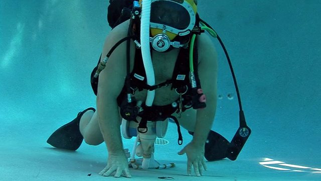 SCUBA Bear feeding pool cleaner
