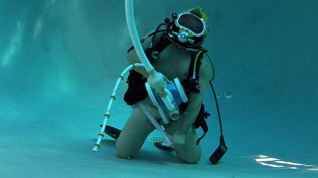SCUBA 곰 먹이주기 수영장 청소부